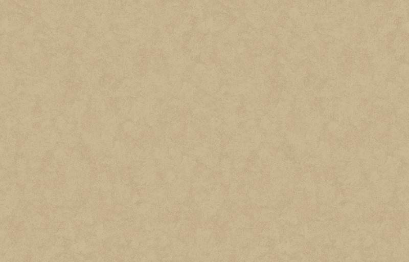 Loymina Shade SD3 002_3