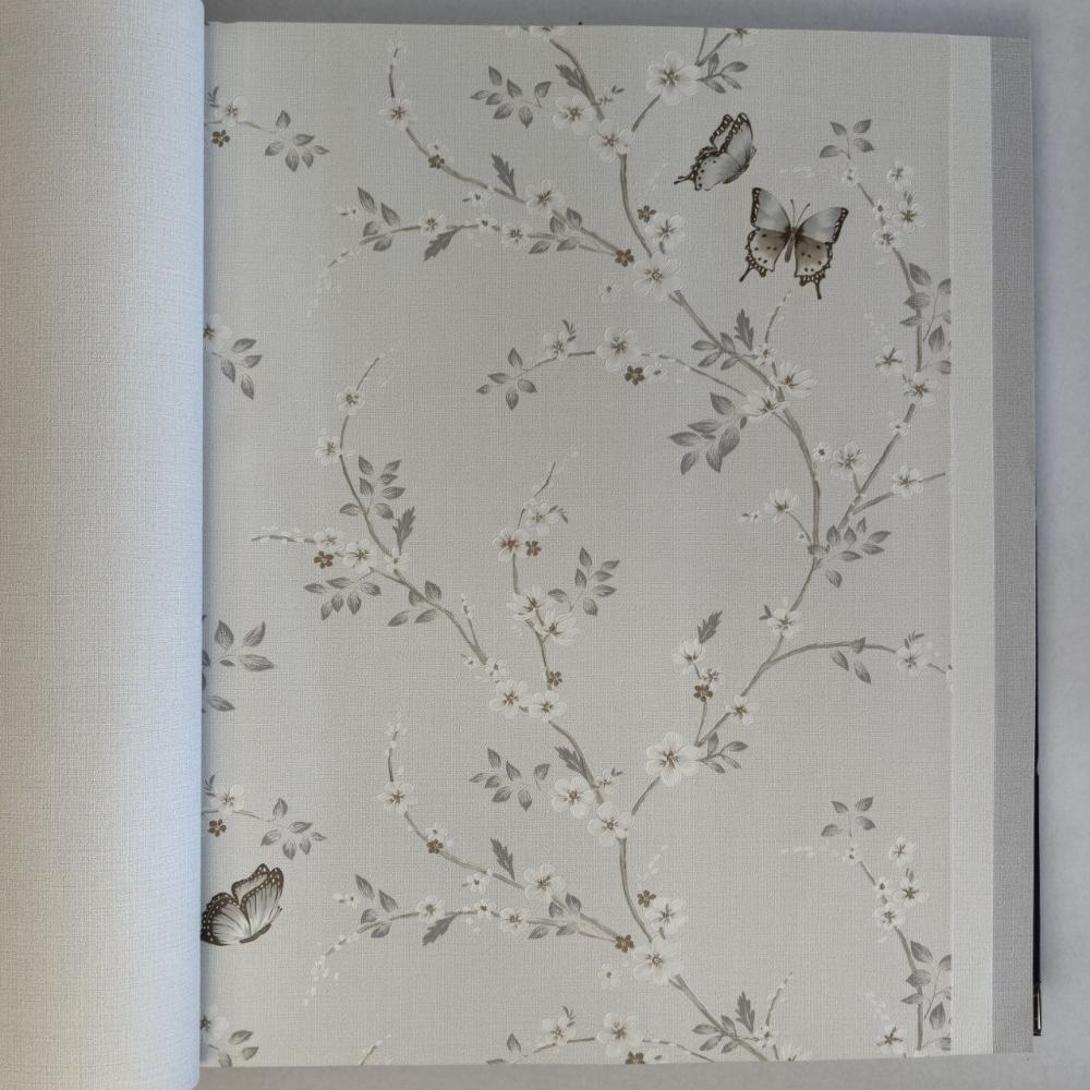 Andrea Rossi Spectrum Box 54460-1