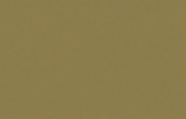 Loymina Origins ALS10 005_1
