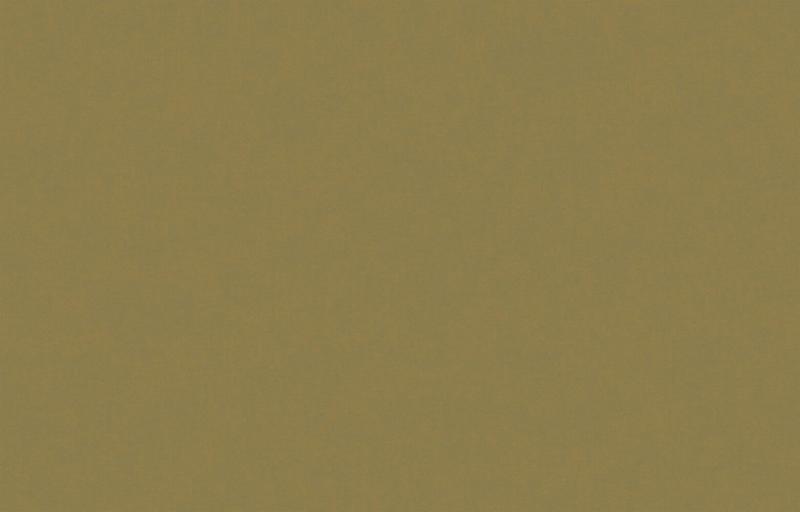 Loymina Origins ALS10 005_1