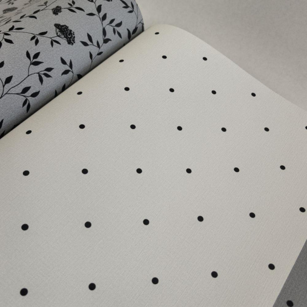 Andrea Rossi Spectrum Box 54454-24