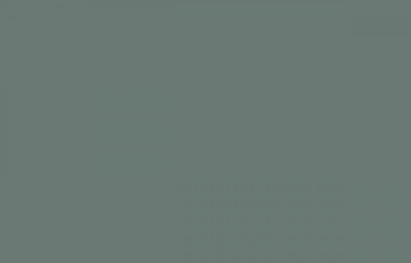 Hygge Made in Russia MIR6 005/5