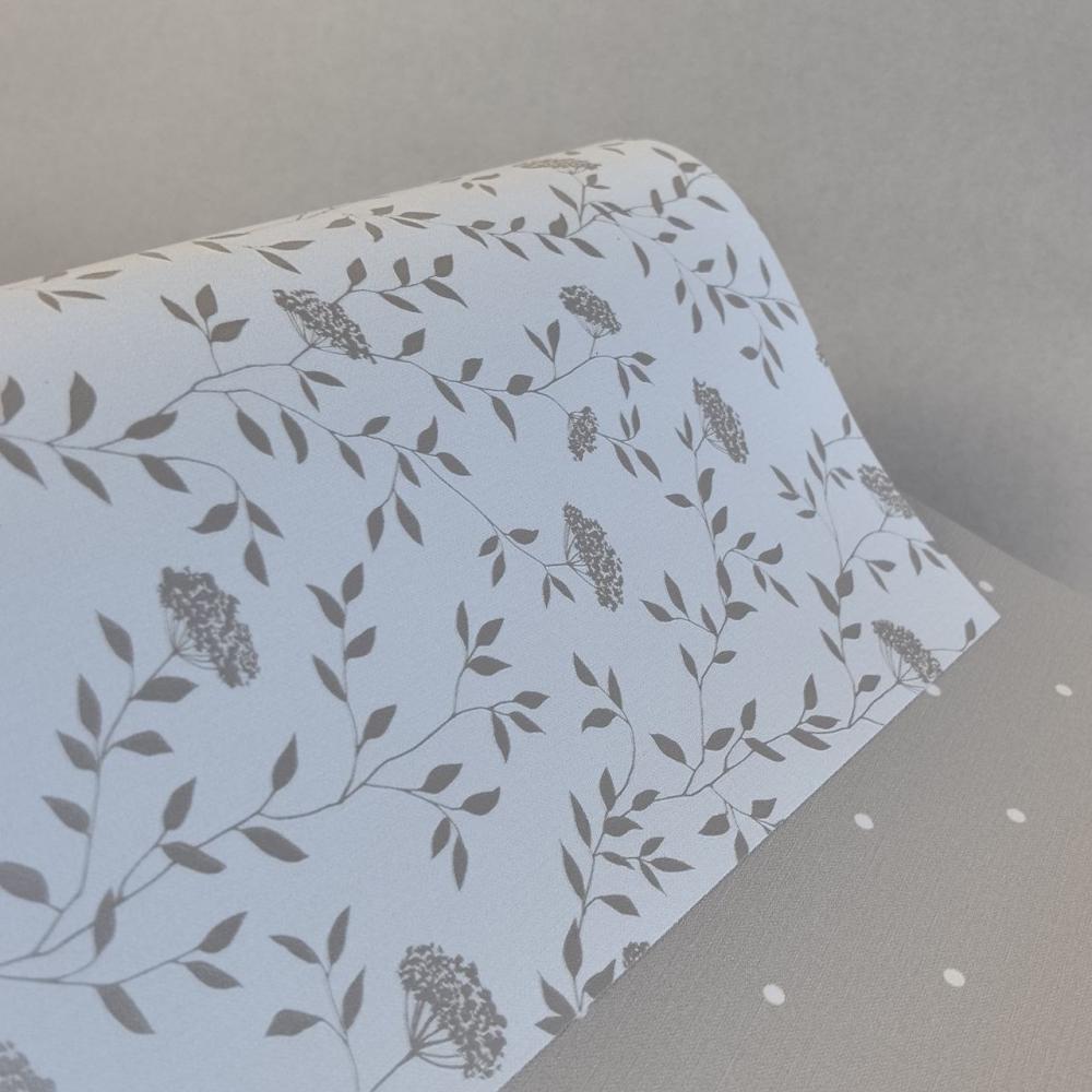 Andrea Rossi Spectrum Box 54456-2