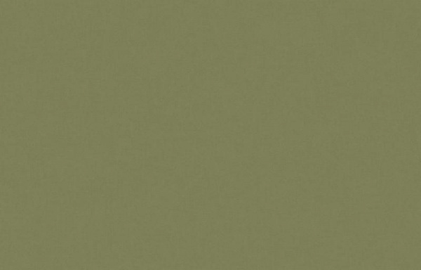 Loymina Origins ALS10 005_2