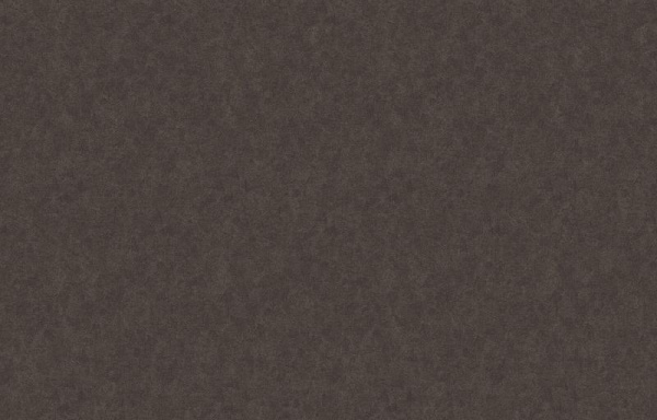 Loymina Shade SDR5 010