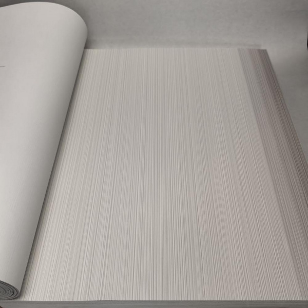 Andrea Rossi Berggi 54447-2