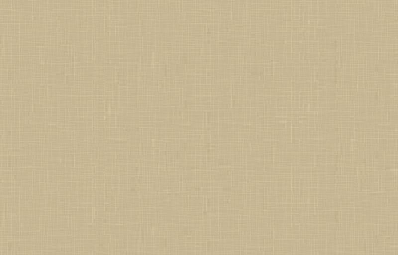 Loymina Origins ALS11 005_1