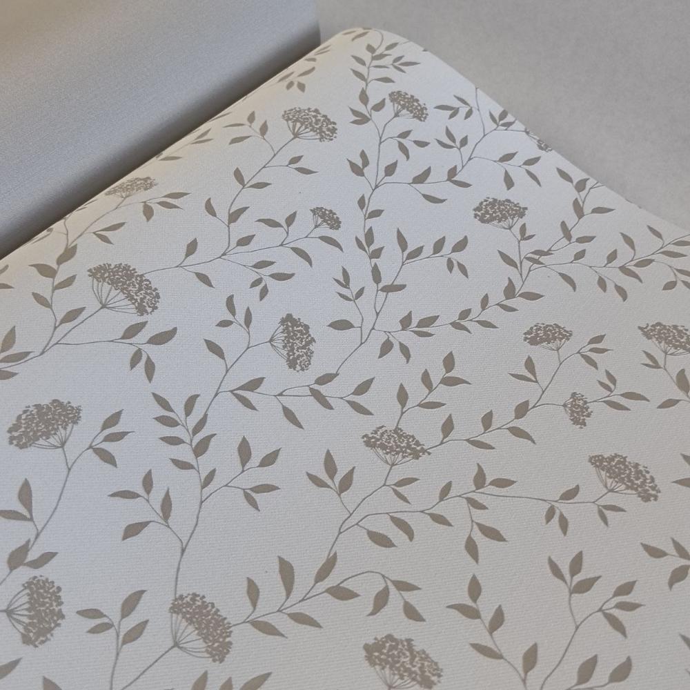 Andrea Rossi Spectrum Box 54456-2