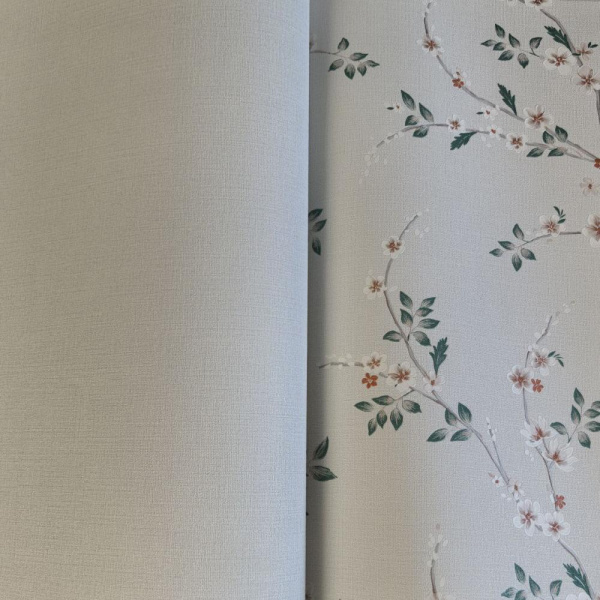 Andrea Rossi Spectrum Box 54459-6