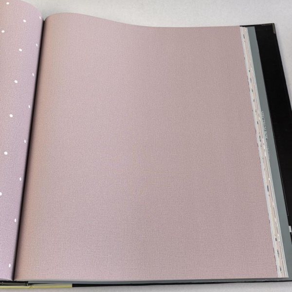 Andrea Rossi Spectrum Box 54455-15